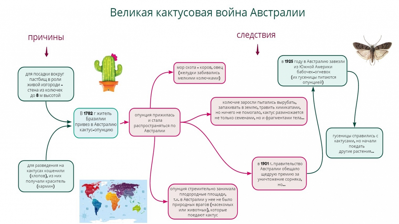 Заселение Австралии опунцией